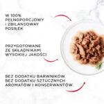 GOURMET Mon Petit: Rybne Fileciki dla Kota - obrazek 3