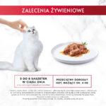 GOURMET Mon Petit: Rybne Fileciki dla Kota - obrazek 9