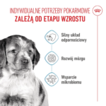Royal Canin Medium Puppy 1kg - obrazek 3