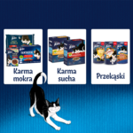 Felix Fantastic Wiejskie Smaki Galaretka 4x85g - obrazek 9