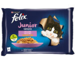 Felix Fantastic Junior Kurczak Łosoś