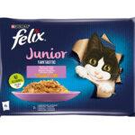 Felix Fantastic Junior Kurczak Łosoś