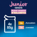 Felix Fantastic Junior Kurczak Łosoś - obrazek 5