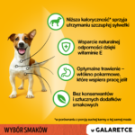 Pedigree Mokra Karma Mix Smaków w Galaretce 12x100g - obrazek 4