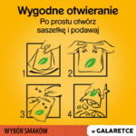 Pedigree Mokra Karma Mix Smaków w Galaretce 12x100g - obrazek 7