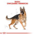Karma Royal Canin Owczarek Niemiecki Adult 11kg - obrazek 3