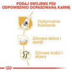Karma Royal Canin Owczarek Niemiecki Adult 11kg - obrazek 5