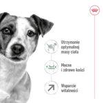 Royal Canin Mini Adult 8+ 2kg - obrazek 3