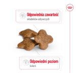 Royal Canin Mini Adult 8+ 2kg - obrazek 4