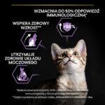 Karma Purina Pro Plan Kitten Kurczak 10kg - obrazek 3