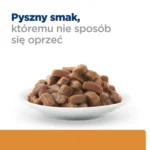 Hill's k/d Karma Nerkowa Wołowina 85g - obrazek 3