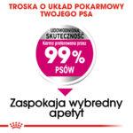 Royal Canin Mini Exigent Karma dla wybrednych psów 3kg - obrazek 5