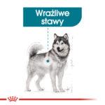 ROYAL CANIN Maxi Joint Care 10kg - obrazek 3
