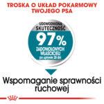 ROYAL CANIN Maxi Joint Care 10kg - obrazek 4