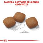 ROYAL CANIN Maxi Joint Care 10kg - obrazek 5
