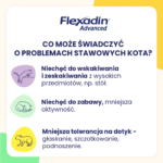 Vetoquinol Flexadin Advanced Kot Stawy - obrazek 5