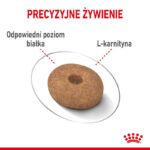 Royal Canin Mini Light Weight Care 8kg - obrazek 12