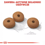 Royal Canin Mini Light Weight Care 8kg - obrazek 5