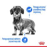 Royal Canin Mini Light Weight Care 8kg - obrazek 8