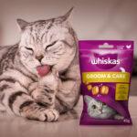 Whiskas Zdrowy Blask Przysmak dla Kota - obrazek 7