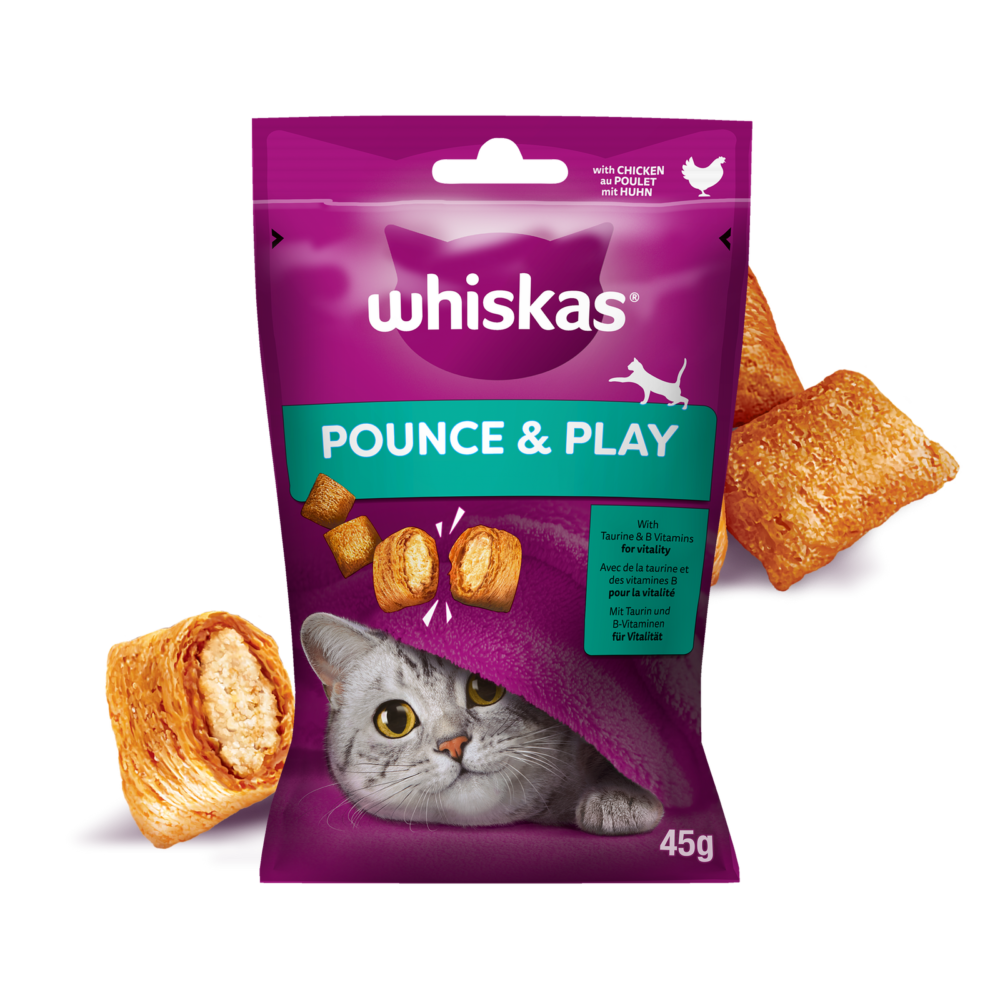 15073_1.png Whiskas Przysmak Energia i Witalność Kurczak 45g - obrazek 1