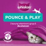 Whiskas Przysmak Energia i Witalność Kurczak 45g - obrazek 4