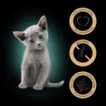 Sheba Kitten Mokra Karma Wybór Smaków - obrazek 4