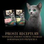 Sheba Kitten Mokra Karma Wybór Smaków - obrazek 6