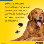 Elanco AdTab Tabletki na Pchły i Kleszcze 5,5-11kg - obrazek 3