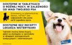 Elanco AdTab Tabletki na Pchły i Kleszcze 5,5-11kg - obrazek 5
