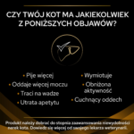 Karma Pro Plan Veterinary Diets NF Renal Kurczak - obrazek 2
