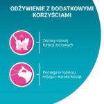 Purina One Junior Karma Kocięta Łosoś 85g - obrazek 2