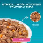 Purina One Junior Karma Kocięta Łosoś 85g - obrazek 4