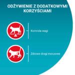 Purina One Sterilcat: Indyk & Fasolka 85g - obrazek 2