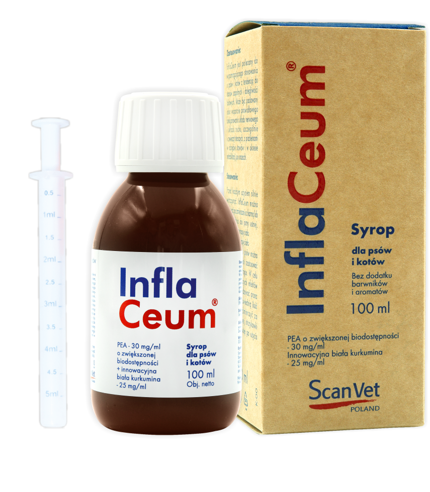 15174_1.png Scanvet InflaCeum Stawy Psy Koty 100ml - obrazek 1