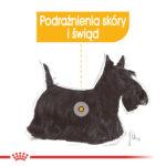Royal Canin Mini Dermacomfort 8kg Karma dla Psów Wrażliwych - obrazek 3