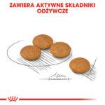 Royal Canin Mini Dermacomfort 8kg Karma dla Psów Wrażliwych - obrazek 5