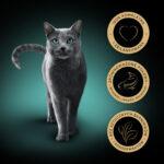 SHEBA Classics Mokra Karma Rybna Mix - obrazek 2