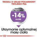 Royal Canin Sterilised Mini 1kg - obrazek 4