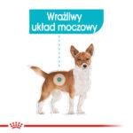 Royal Canin Urinary Care Pasztet Saszetki - obrazek 5