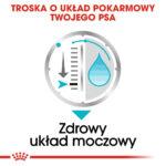 Royal Canin Urinary Care Pasztet Saszetki - obrazek 7