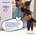 Flexadin Cat: Smaczne Kąski na Stawy - obrazek 4