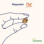 Flexadin Cat: Smaczne Kąski na Stawy - obrazek 6