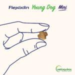 Flexadin Young Dog Mini 60 Kąsków - obrazek 3