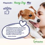 Flexadin Young Dog Mini 60 Kąsków - obrazek 5