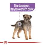Royal Canin Sterilised Mini Pasztet - obrazek 5