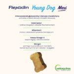 Flexadin Young Dog Maxi Kąski 60 szt. - obrazek 2
