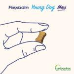 Flexadin Young Dog Maxi Kąski 60 szt. - obrazek 4