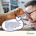 Flexadin Young Dog Maxi Kąski 60 szt. - obrazek 6