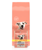 Purina Dog Chow Adult Sensitive Łosoś 16,5kg